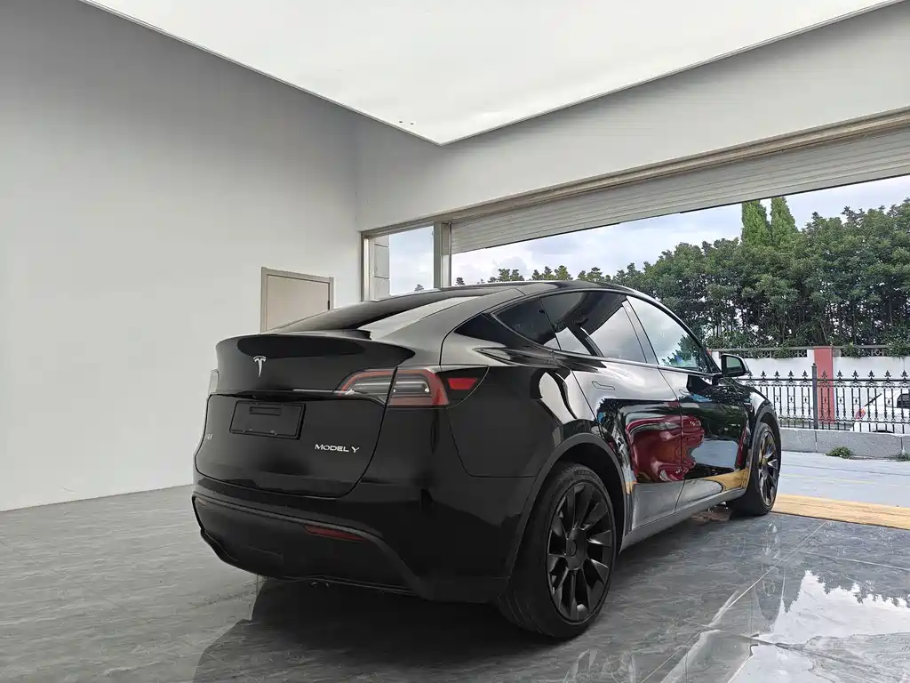 Tesla Model Y — миниатюра 5