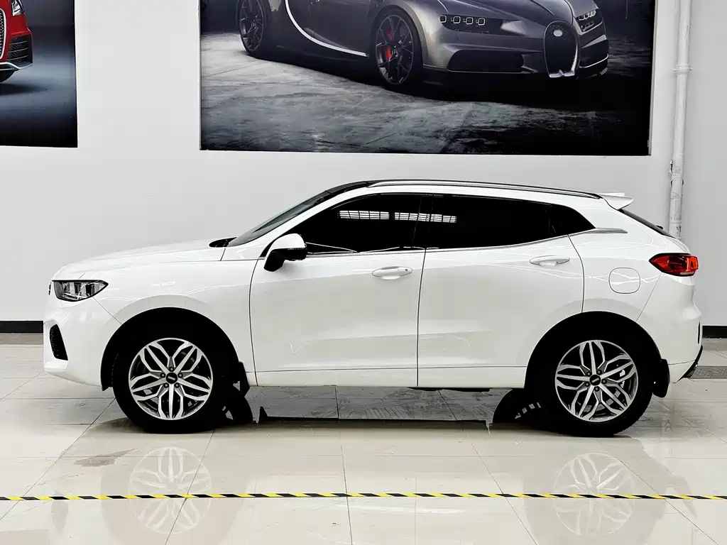 WEI PAI WEI BRAND VV5