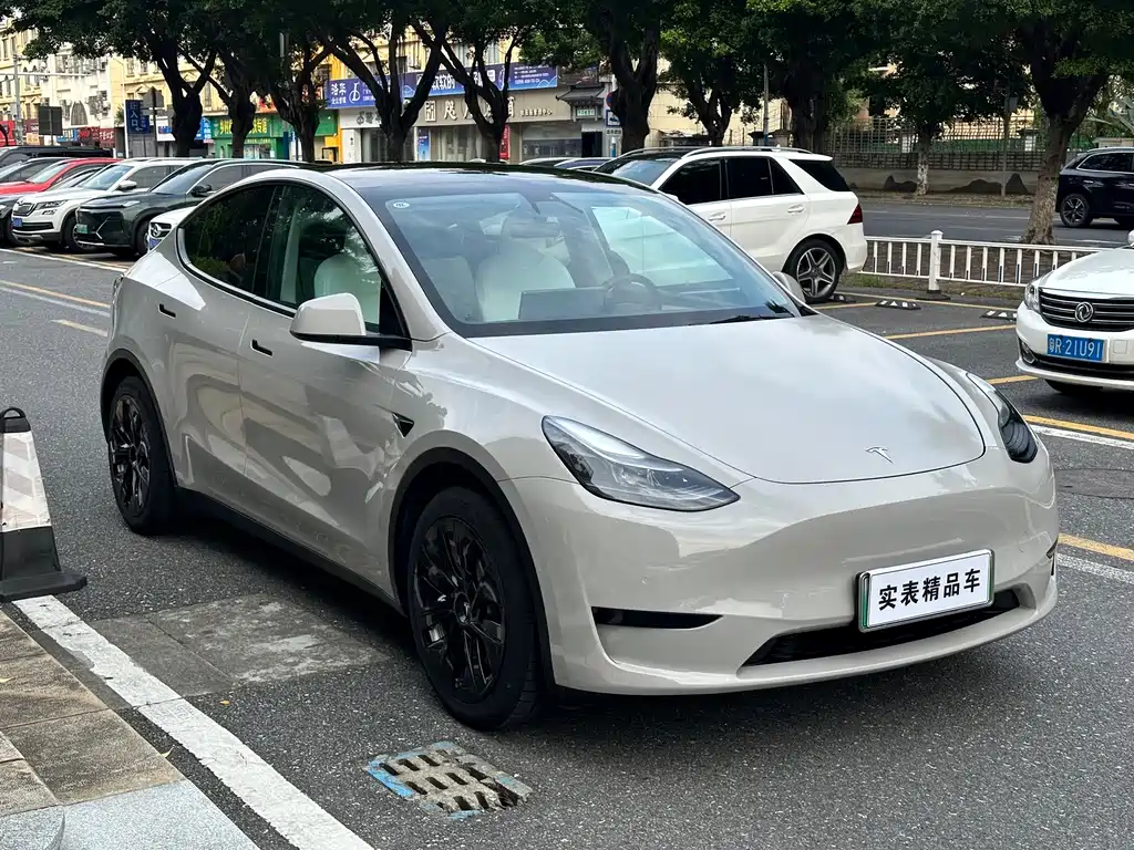 Tesla Model Y — миниатюра 3