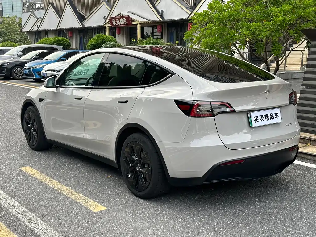 Tesla Model Y — миниатюра 4