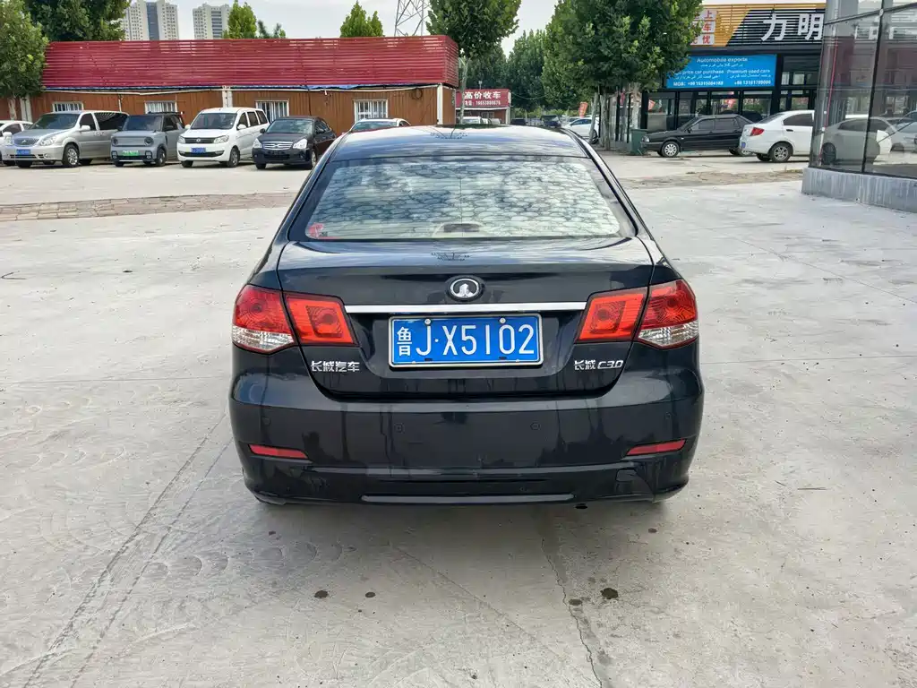 Great Wall Great Wall C30 — миниатюра 5