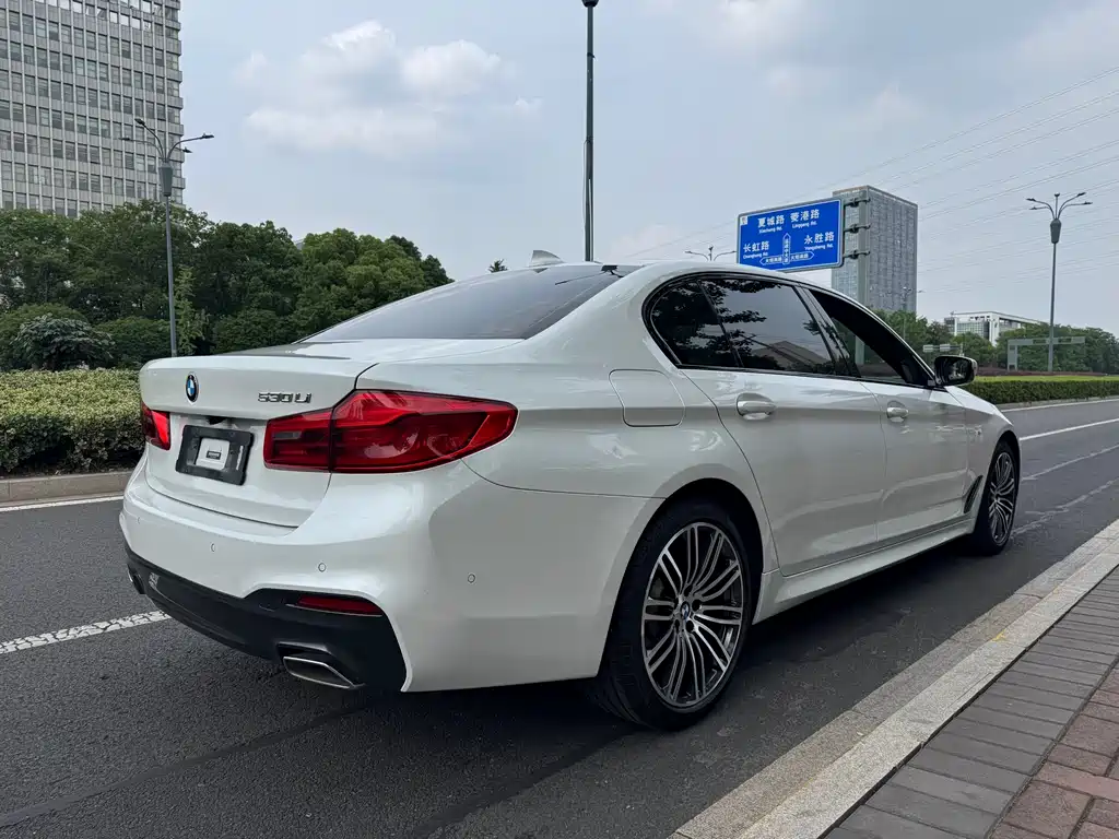 BMW 5 Series 5 2019 530Li Premium M Sport