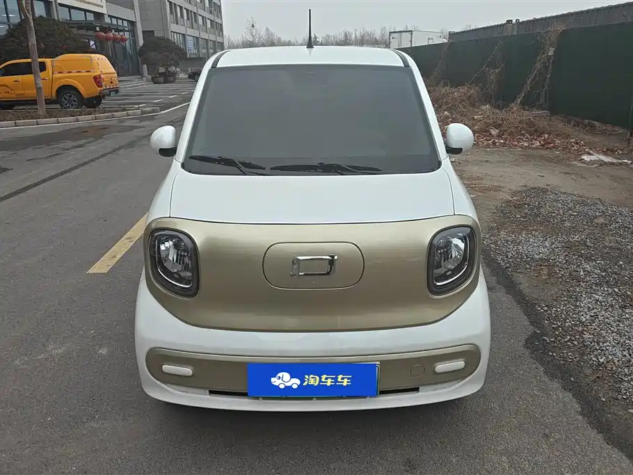 BESTUNE PENTIUM PONY