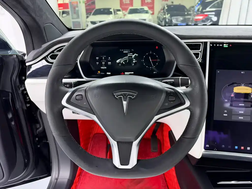 Tesla Model X — миниатюра 6