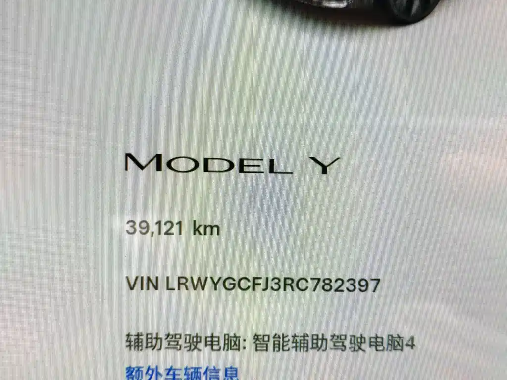 Tesla Model Y — миниатюра 16