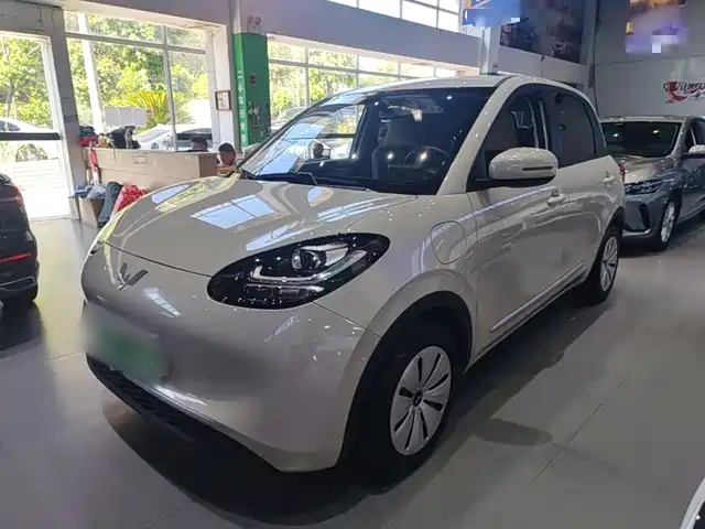 2024 Wuling Motors Binguo