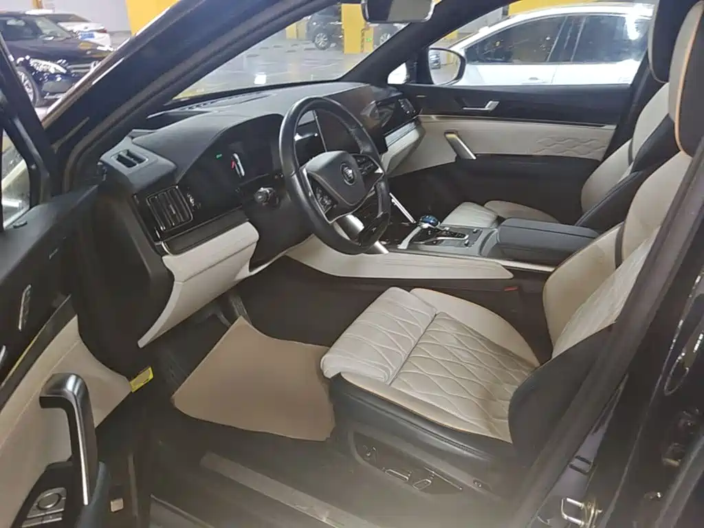 BYD Tang New Energy — миниатюра 15