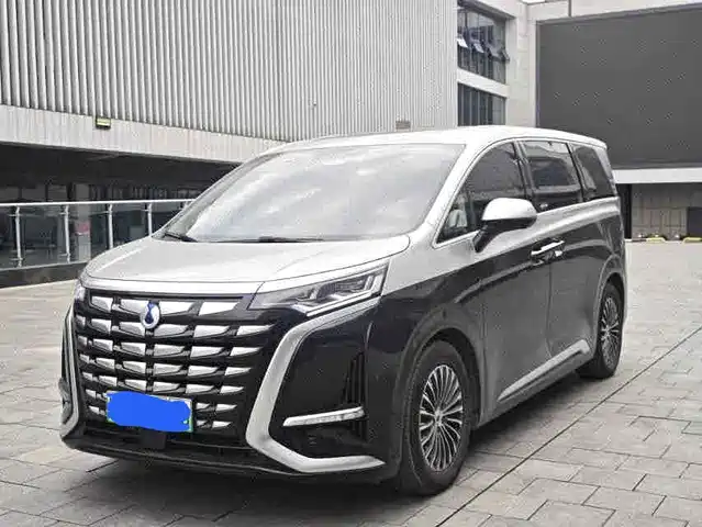 Denza D9