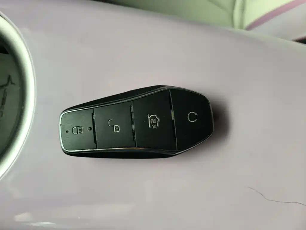 BYD Dolphin 2021 405km Fashion