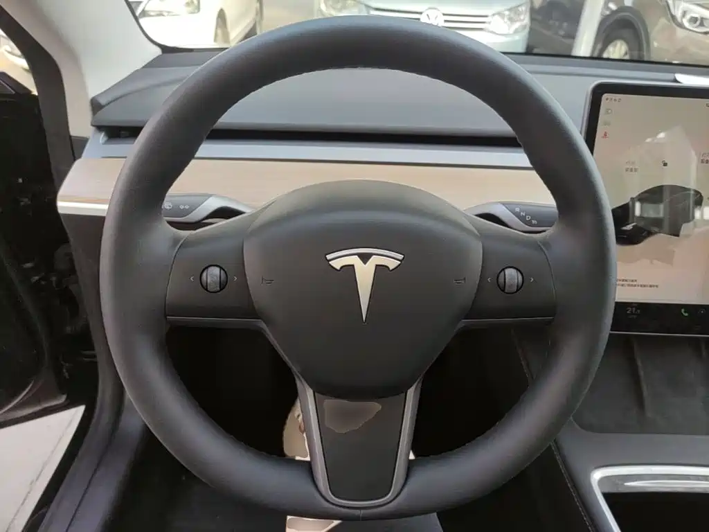Tesla Model 3 — миниатюра 11