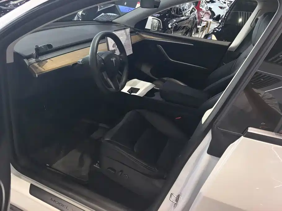 Tesla Model Y — миниатюра 9