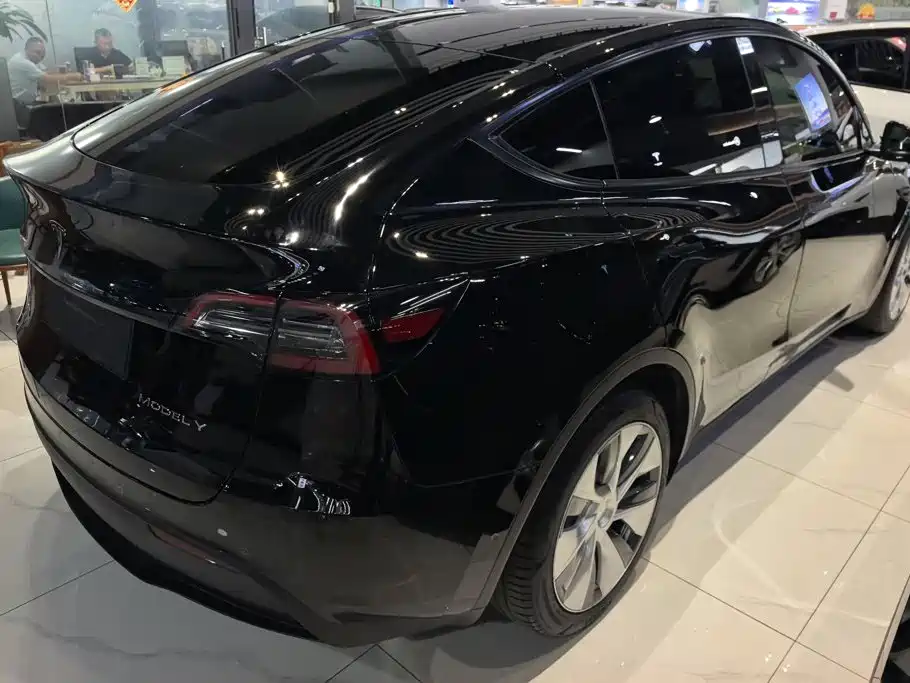 Tesla Model Y — миниатюра 3