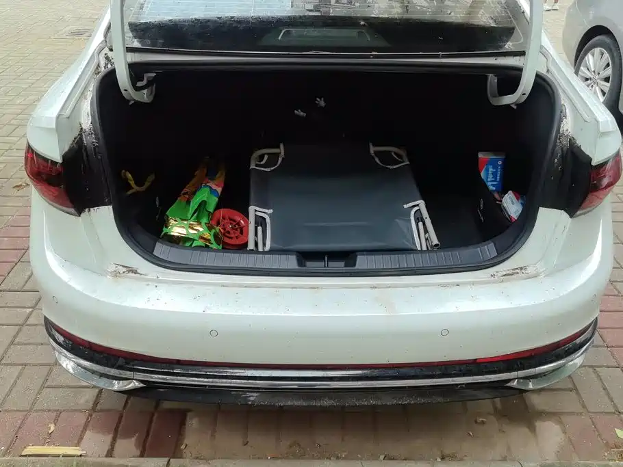 Volkswagen Sagitar — миниатюра 4