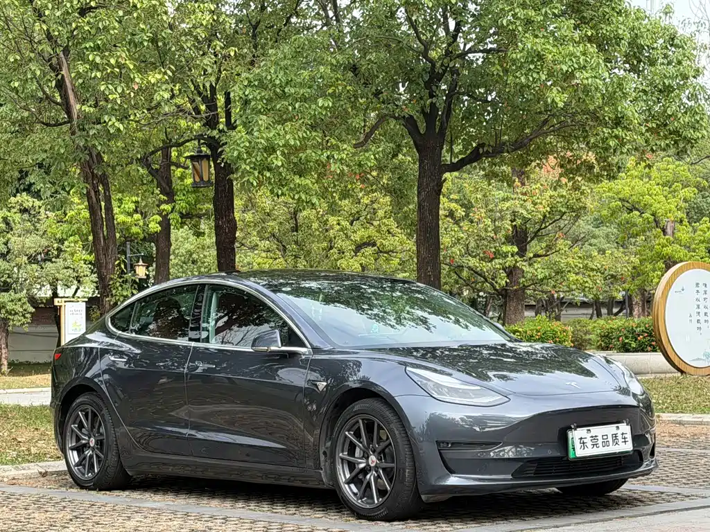 Tesla Model 3 — миниатюра 3