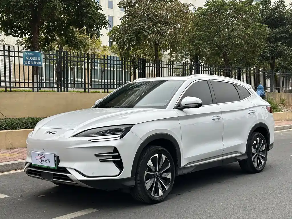 BYD SONGJIANG NEW ENERGY