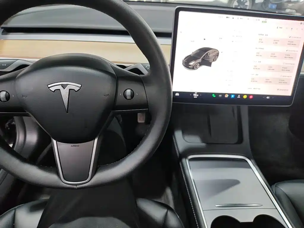 Tesla Model 3 — миниатюра 6