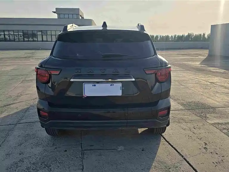 Haval Big Dog PLUS — миниатюра 7