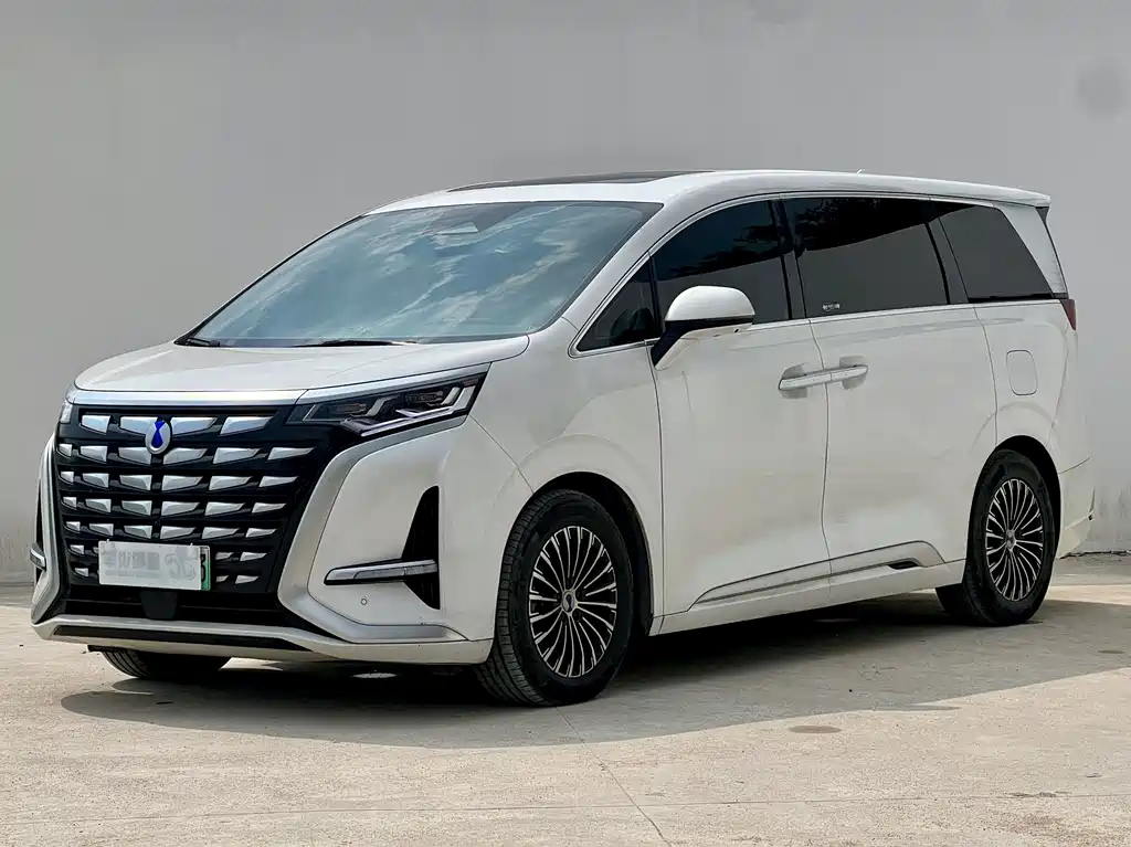 Denza Denza D9