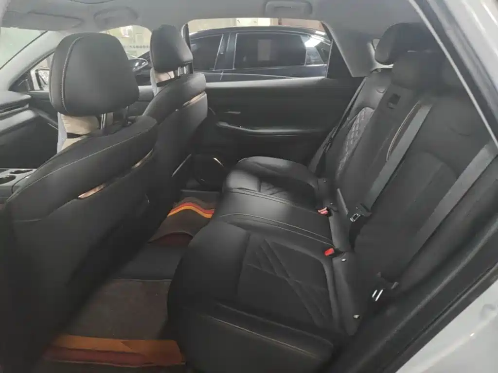 Baojun Xiangjing — миниатюра 17