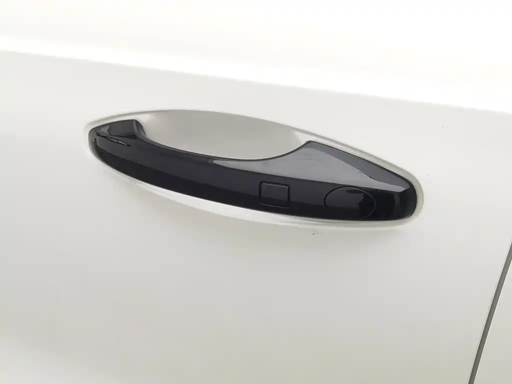 Haval Chitu — миниатюра 18