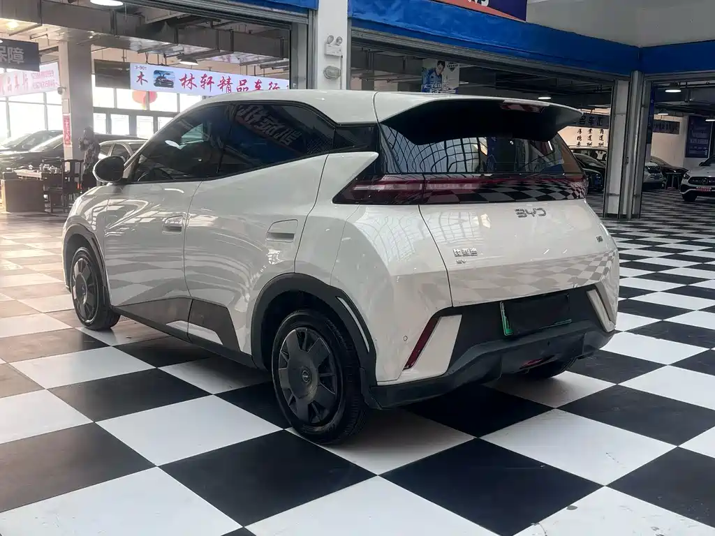 BYD Seagull 2025 305km