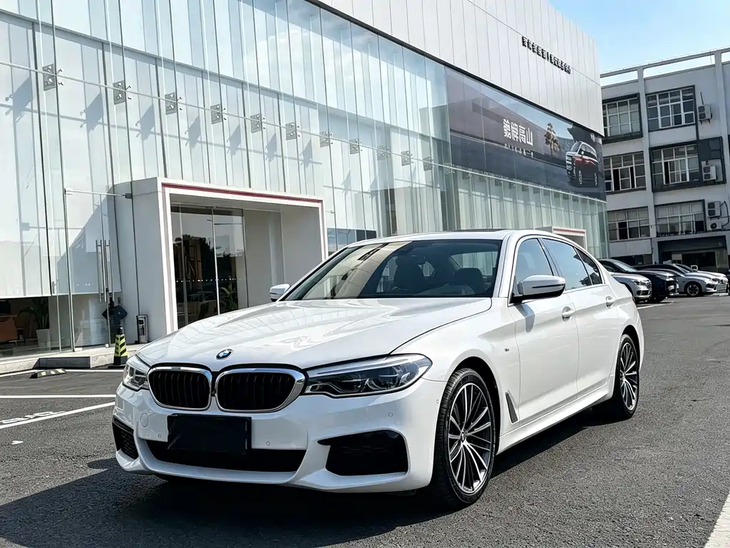 BMW 5 Series 5 2020 530Li Premium M Sport