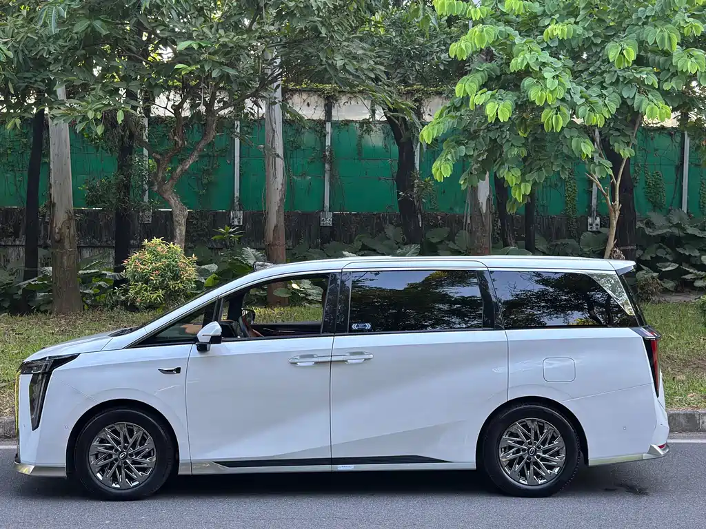 GAC Motor Trumpchi Xiangwang M8 — миниатюра 20