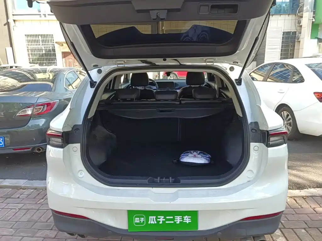 Fengxing Fengxing T5 EVO — миниатюра 19
