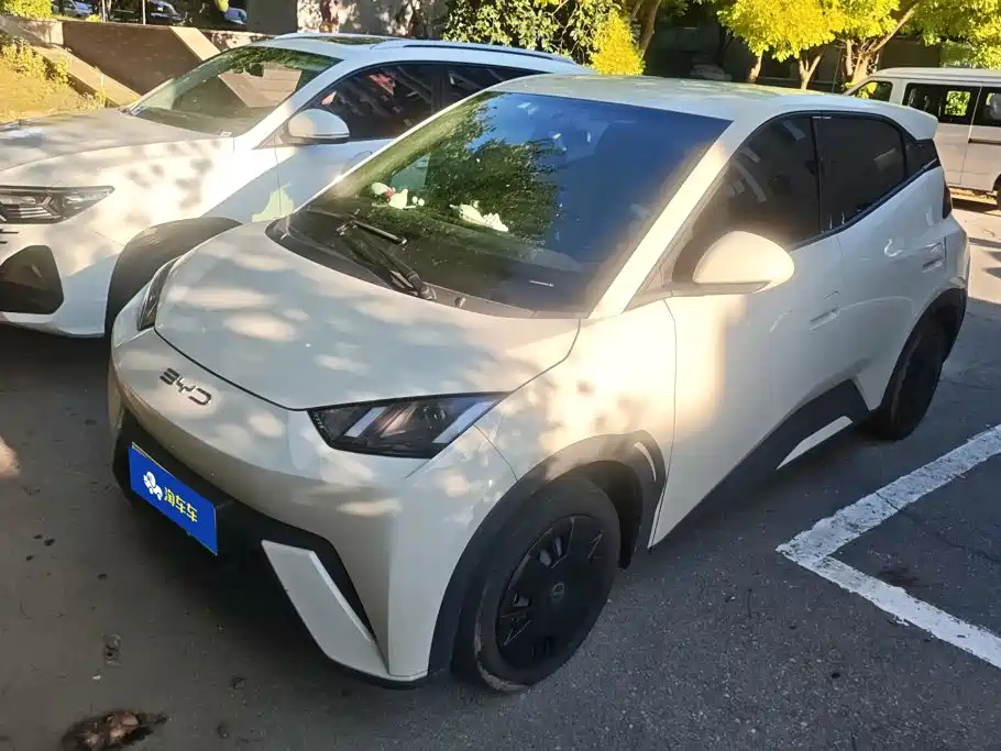 BYD Seagull