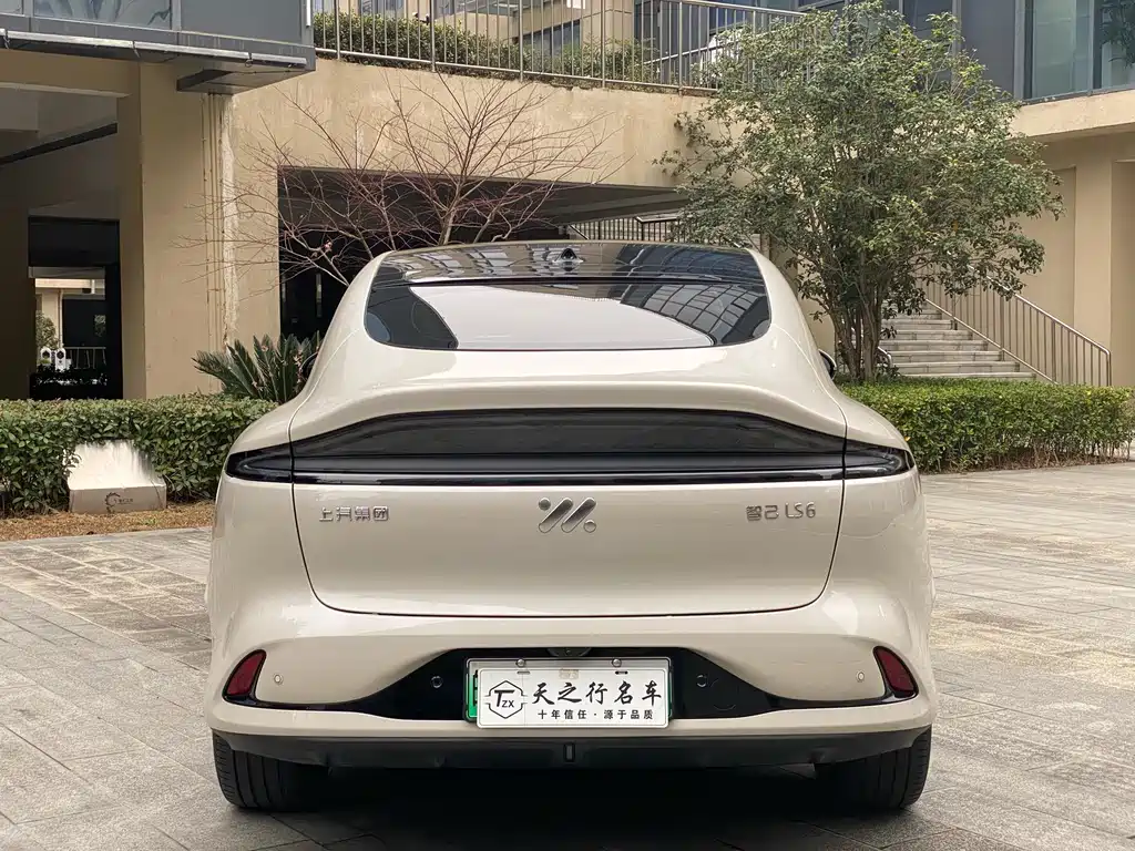 ZHIJI AUTOMOBILE ZHIJI LS6