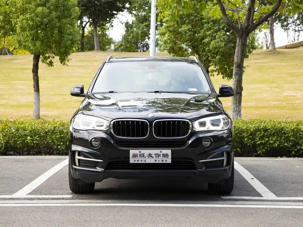 BMW X5 (Import) — миниатюра 2