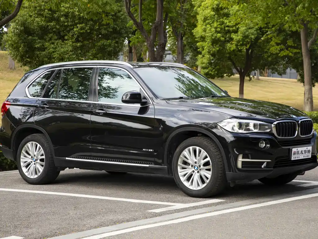 BMW X5 (Import) — миниатюра 3