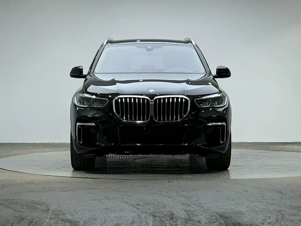 BMW X5 — миниатюра 2
