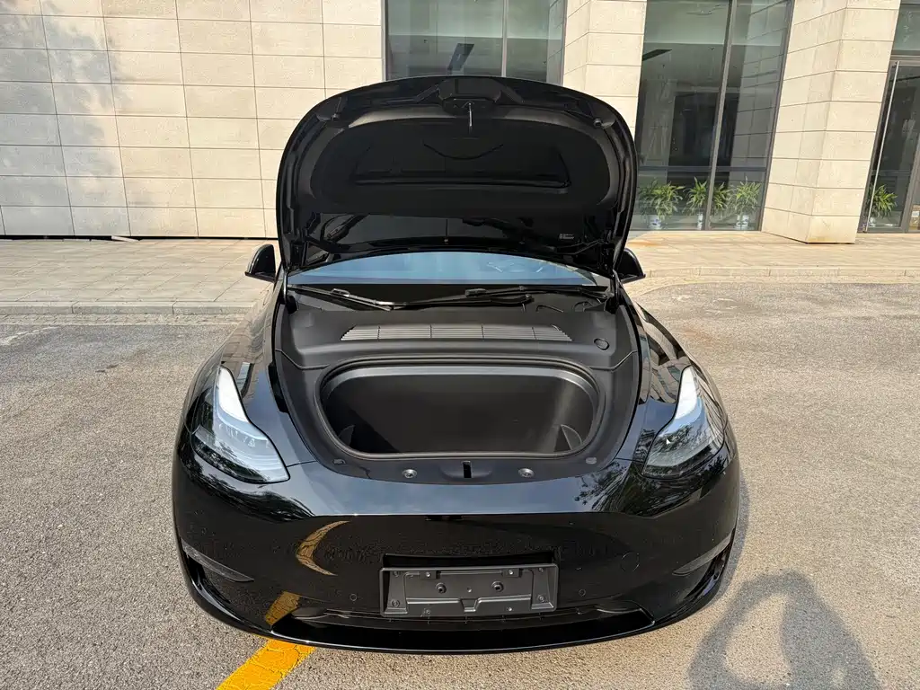 Tesla Model Y — миниатюра 15
