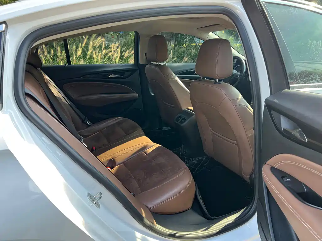 Buick Regal — миниатюра 15