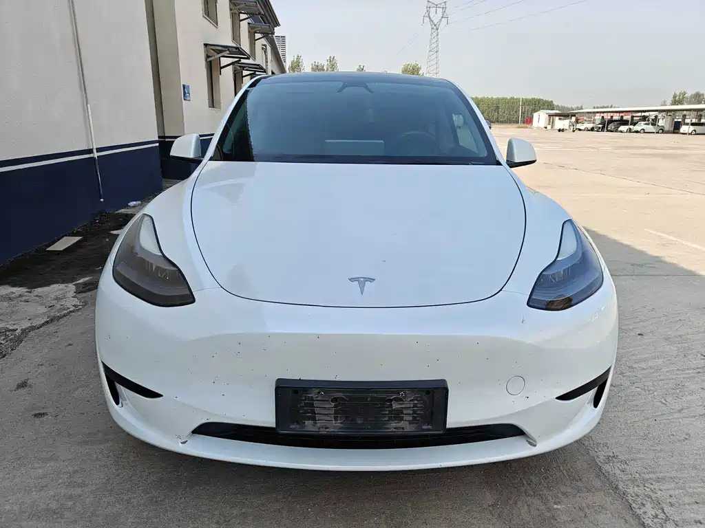 Tesla Model Y — миниатюра 2