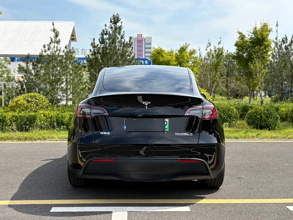 Tesla Model Y — миниатюра 4
