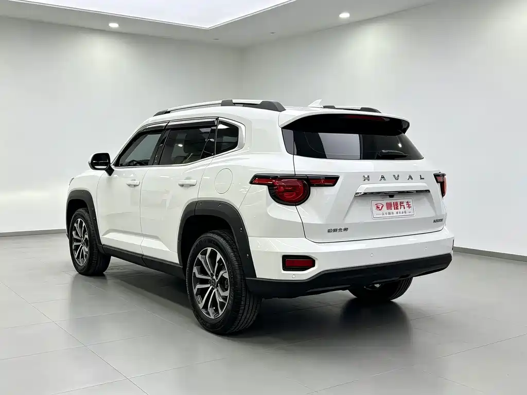 Haval Big Dog PLUS — миниатюра 9