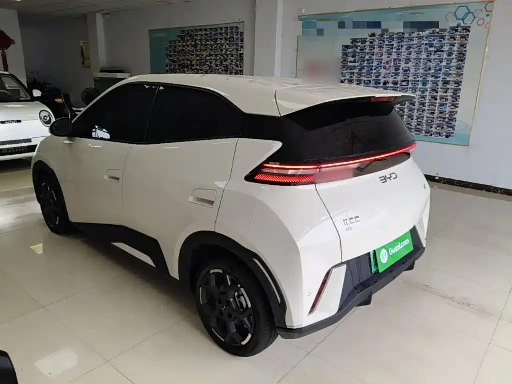 BYD Seagull 2025 305km Freedom