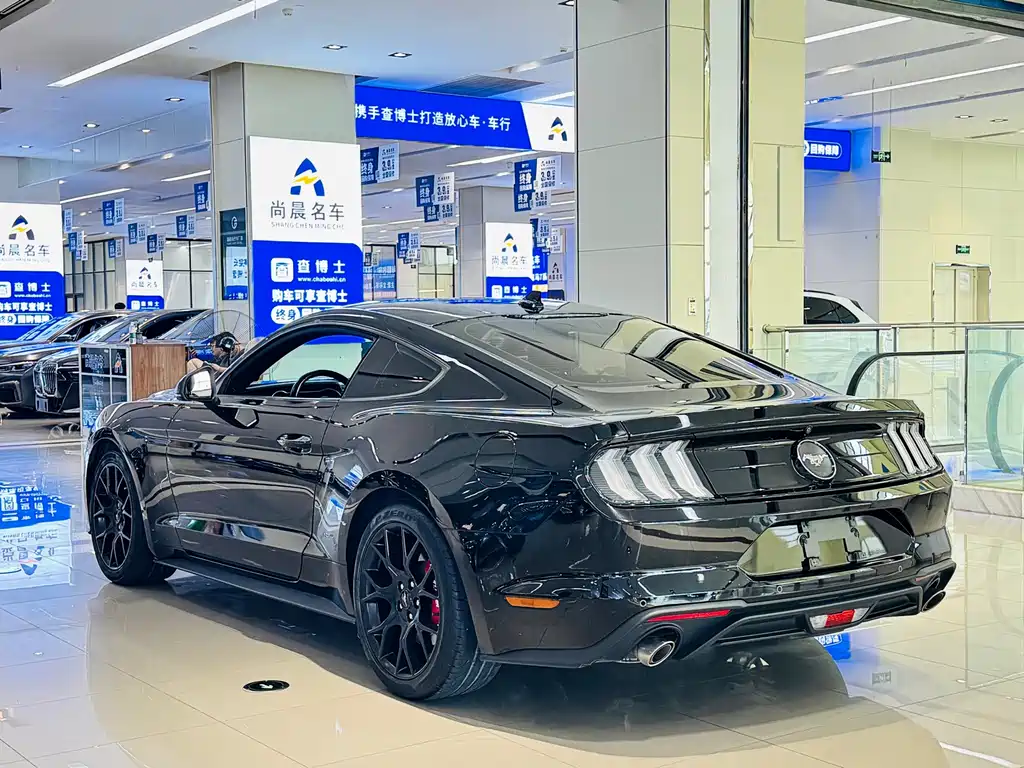 Ford Mustang — миниатюра 19