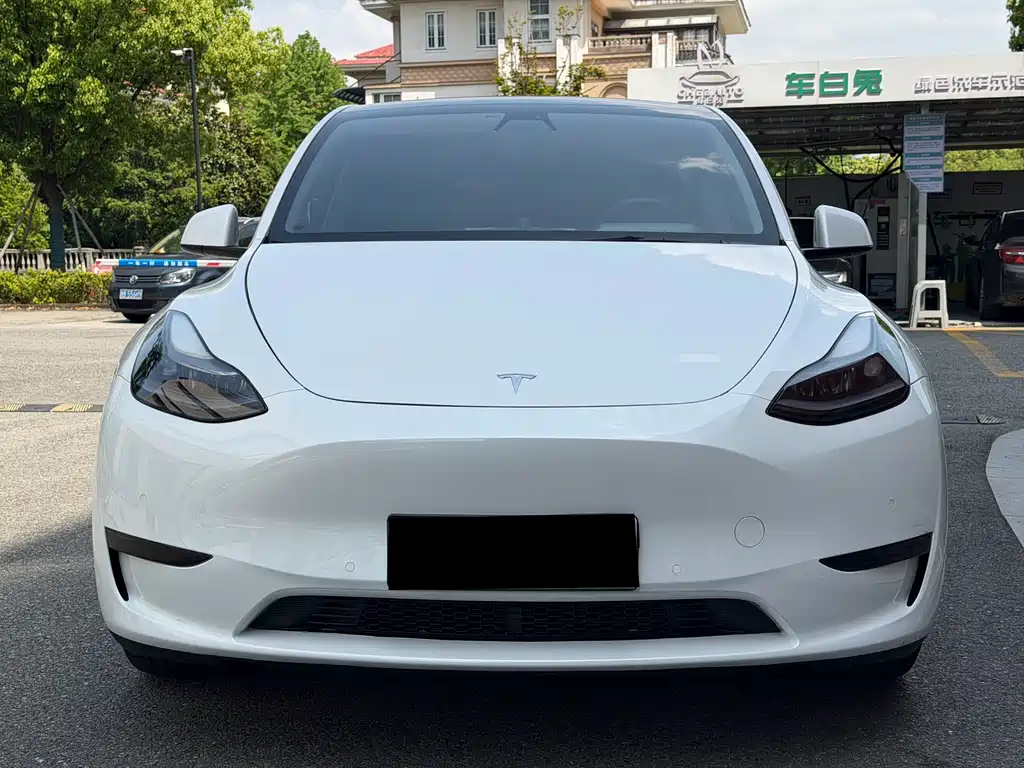 Tesla Model Y — миниатюра 2