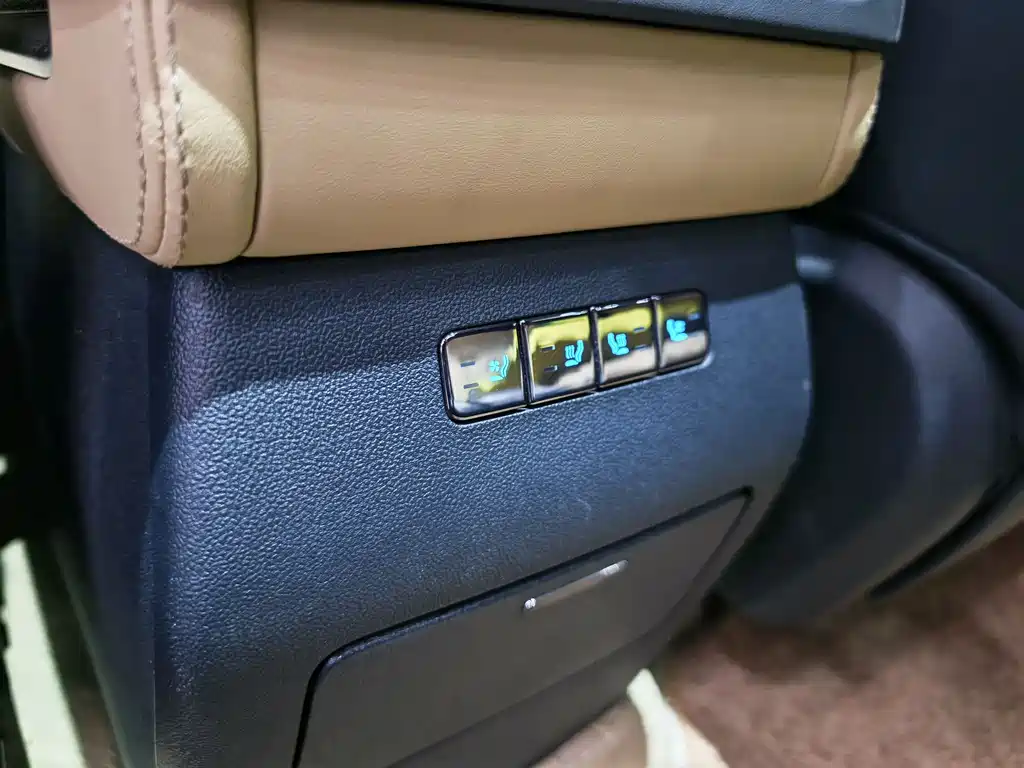 FANG CHENG BAO LEOPARD 5