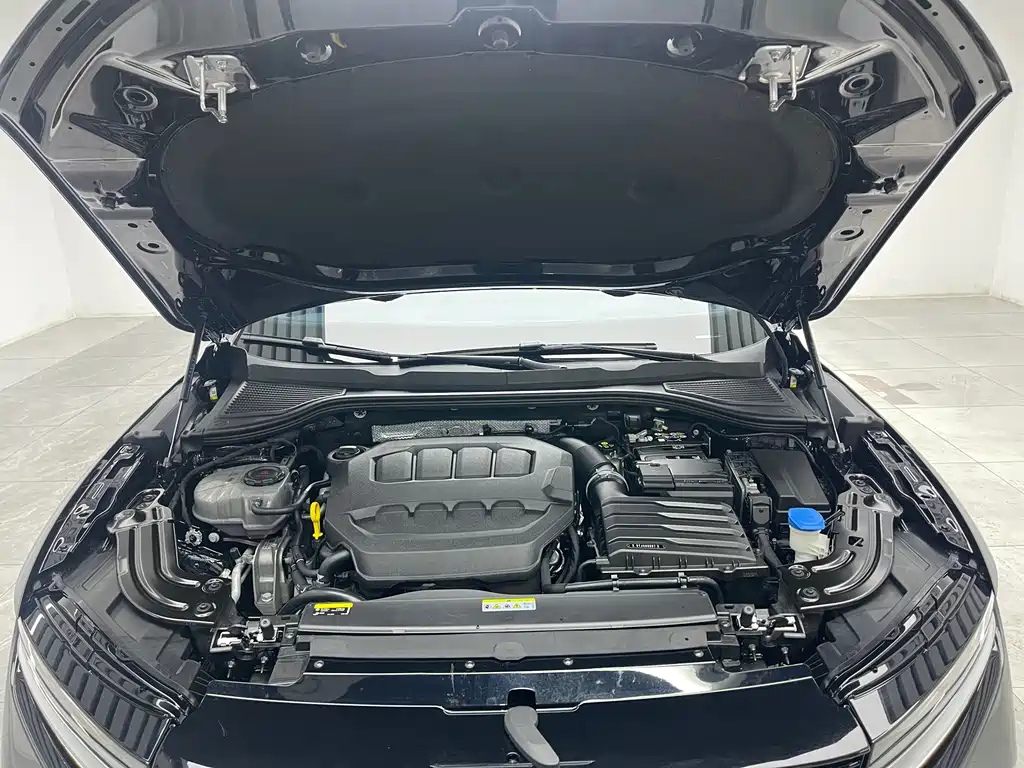 Volkswagen Magotan 2026 380TSI DSG Luxury
