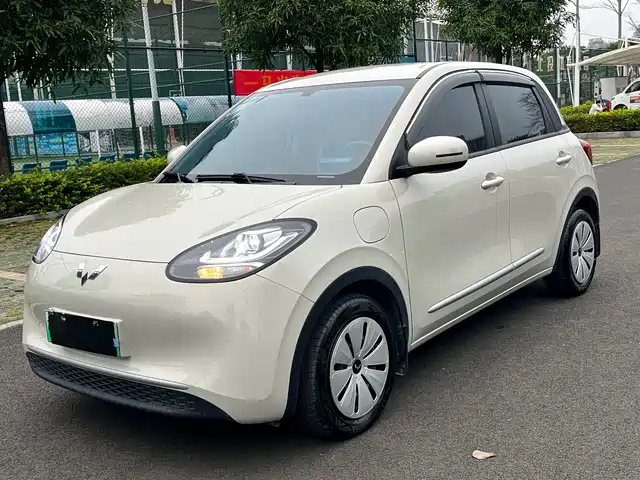 WULING WULING BINGGUO 2025