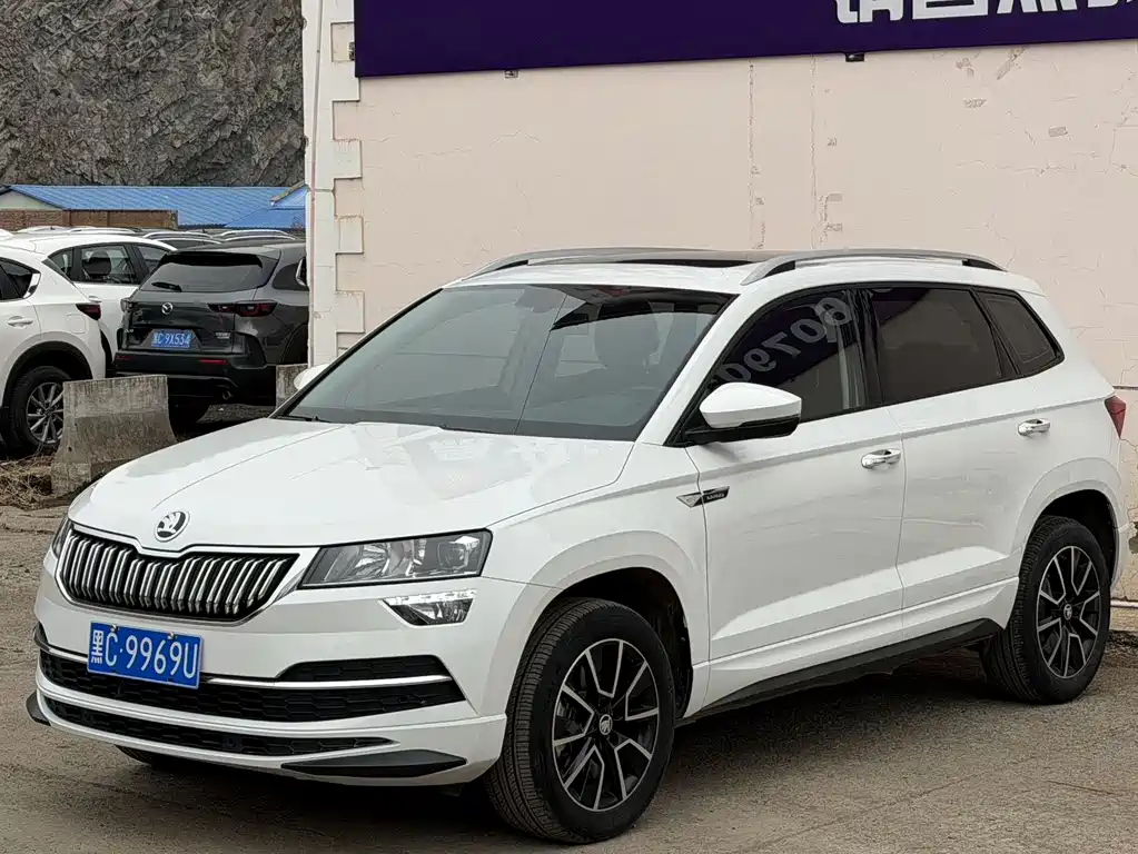 Купить Skoda Karoq