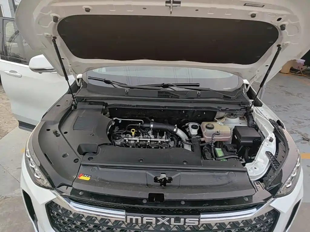 MAXUS D60 — миниатюра 20