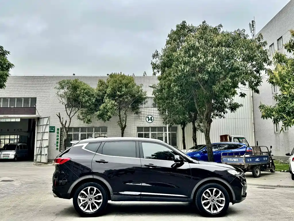 WEI PAI WEI BRAND VV6