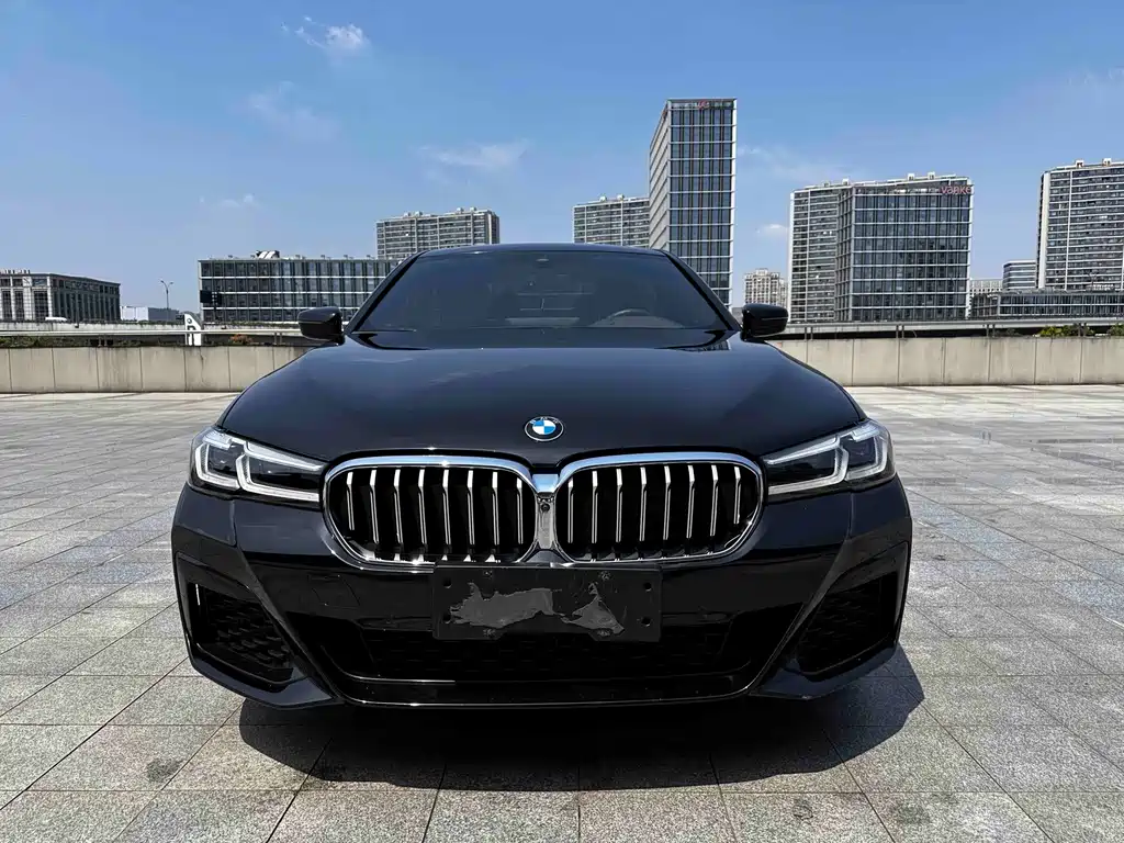 BMW 5 Series 5 2021 530Li Premium Luxury