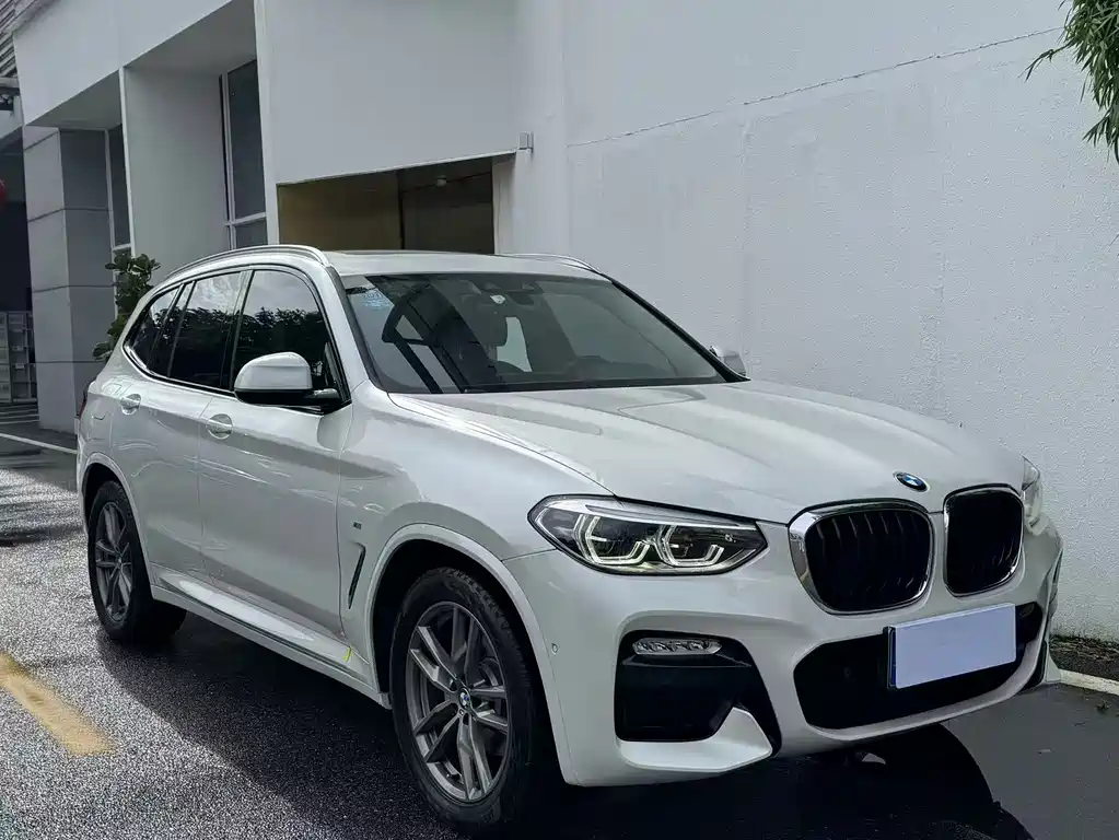 BMW X3 2018 xDrive25i M Sport VI