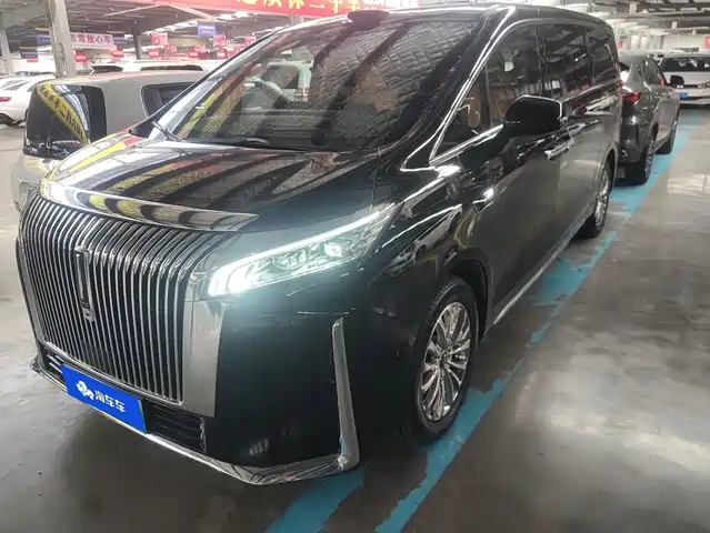 2025 Wey Gaoshan
